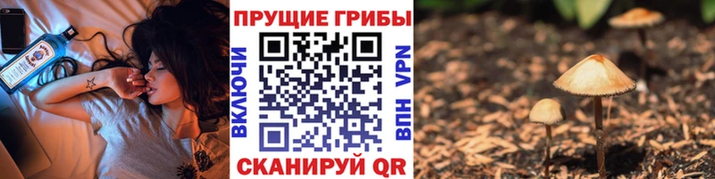 Галлюциногенные грибы прущие грибы Саров